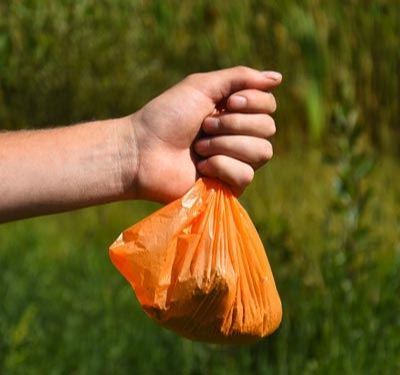 Owner carries bag with dog poop