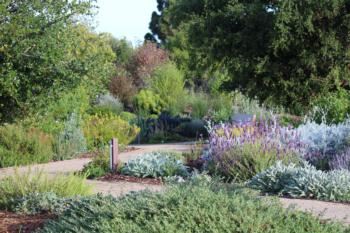 Demonstration Garden