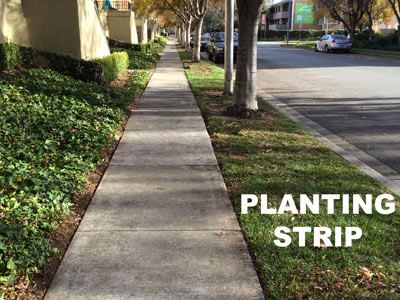 planting strip