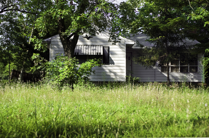 Overgrown weeds in front of home