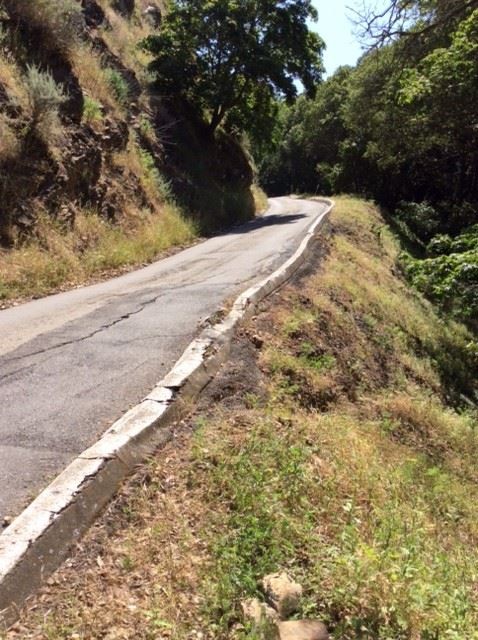 Morrison Canyon Road