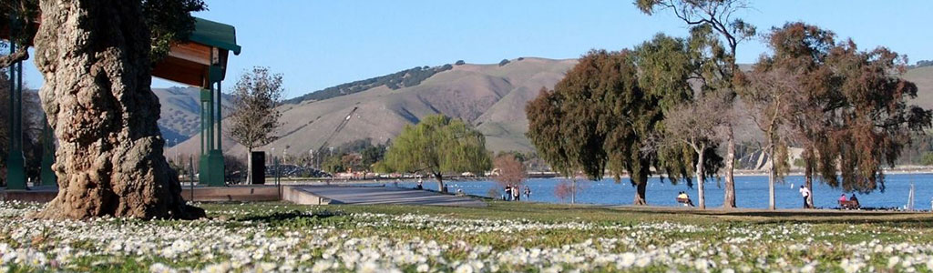 Central Park and Lake Elizabeth with trees and grass