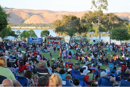 A crowd gathered on a lawn for a concert in a park