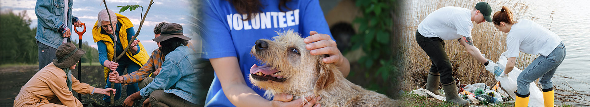 volunteers planting a tree, playing with a dog, and picking up litter