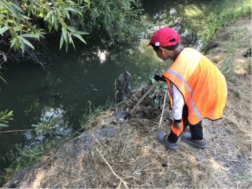 Boy cleaning up creek