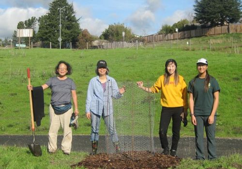 Volunteers with newly planted tree