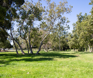 Vallejo Mill Historical Park