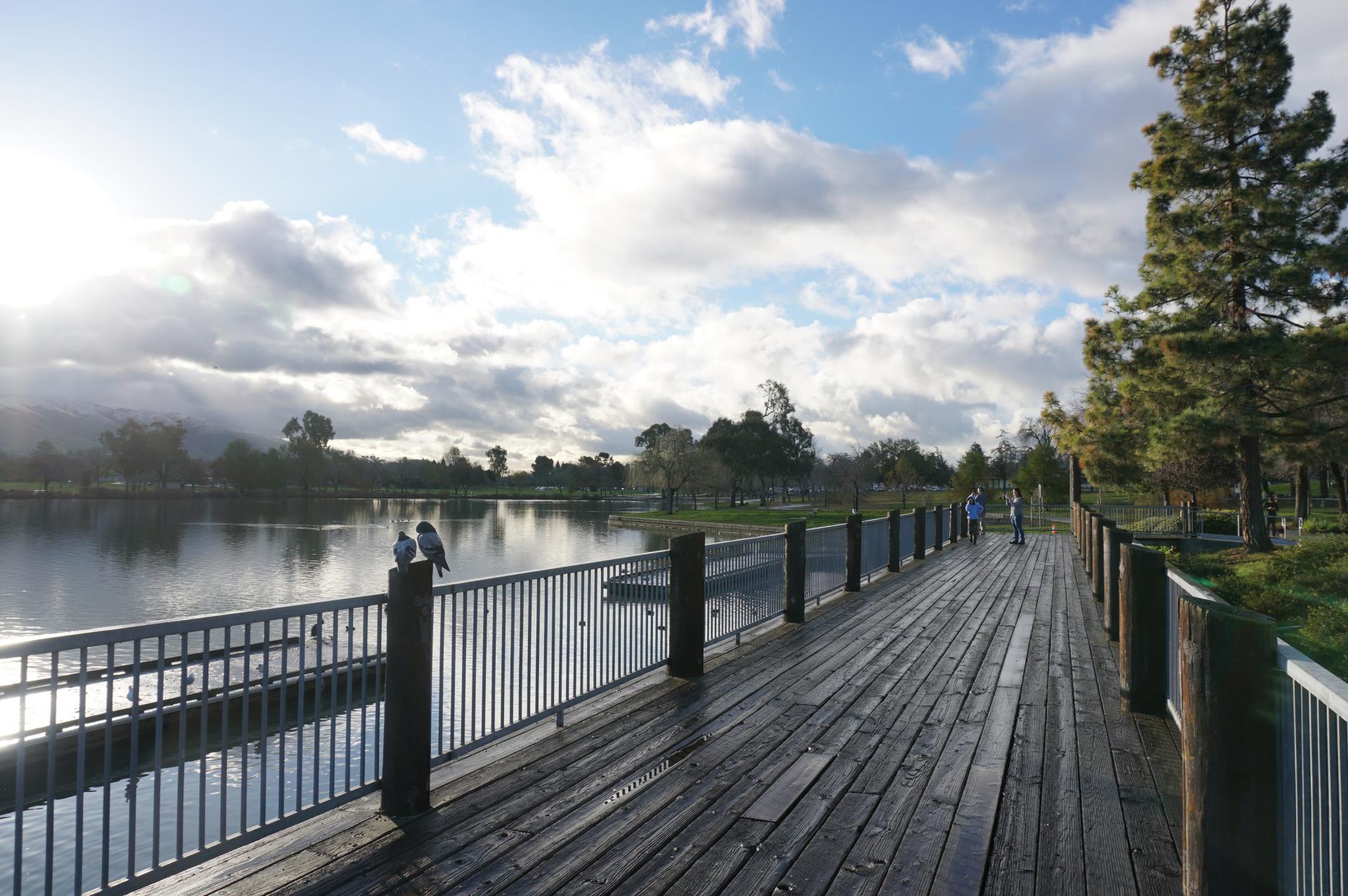 View of Fremont Central Park