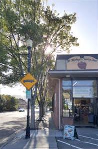 Typical Street Tree in Front of a Business