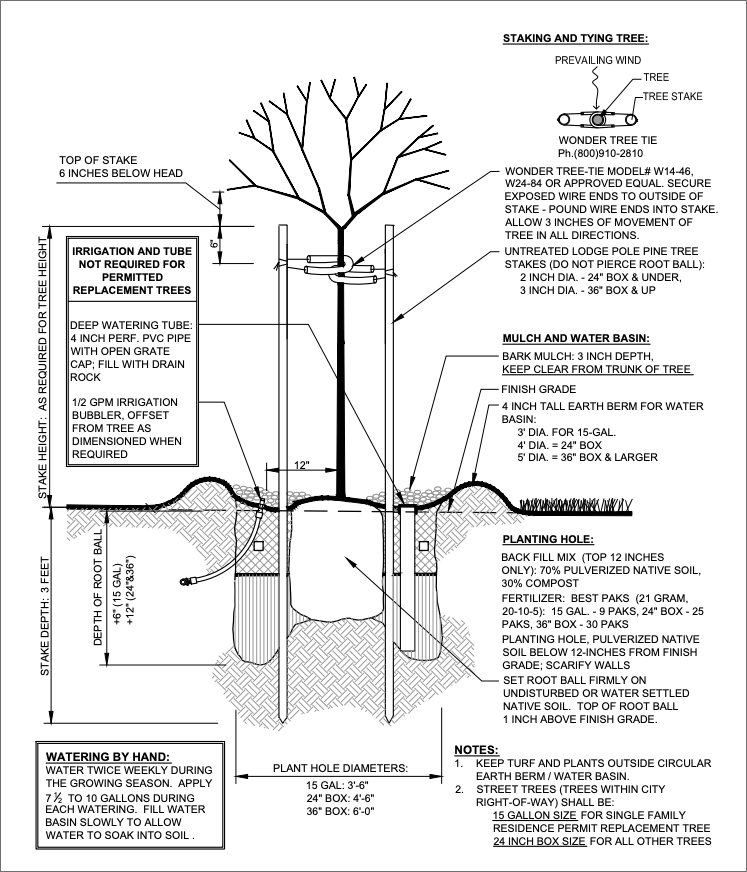 planting standard detail