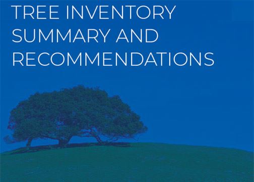 Tree Inventory Summary and Recommendations