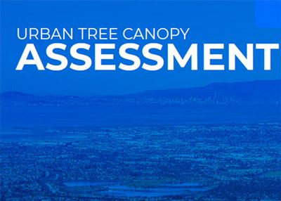 Urban Tree Canopy Assessment