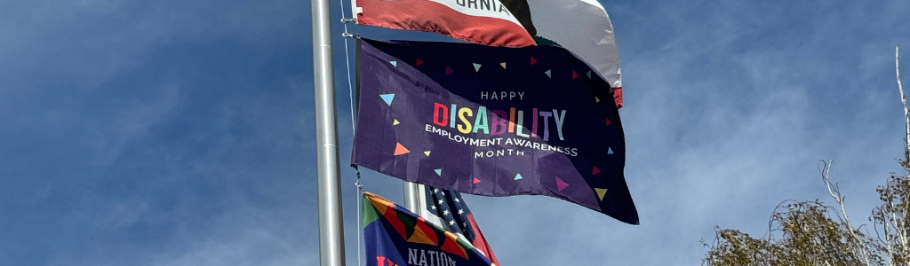 Disability Employment Awareness Month Flag